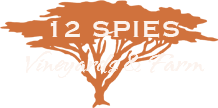 12 Spies Vineyards