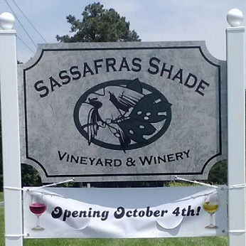 Sassafras Shade Vineyard