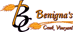 Benigna's Creek Vineyard and Winery