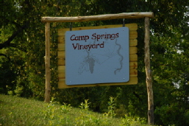 Camp Springs Vineyard