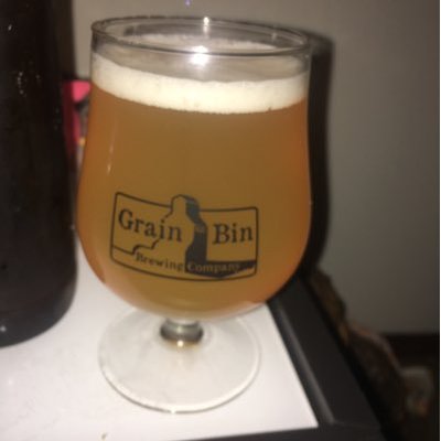 Grain Bin Brewing Company