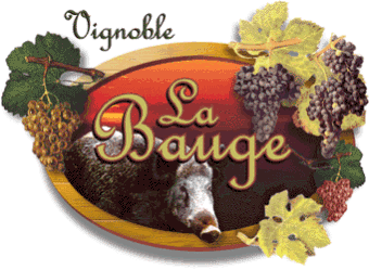 Vignoble la Bauge