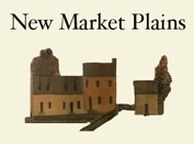 New Market Plains Vineyards