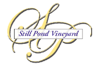 Still Pond Vineyard & Winery