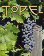 Topel Winery