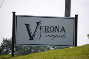 Verona Vineyards