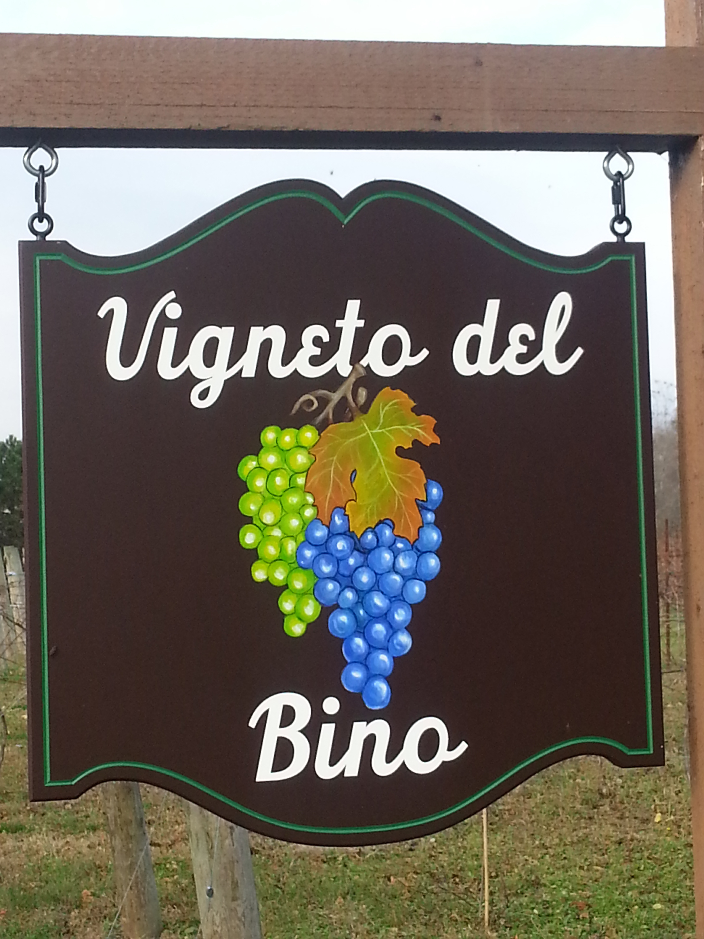 Vigneto del Bino Vineyard & Winery