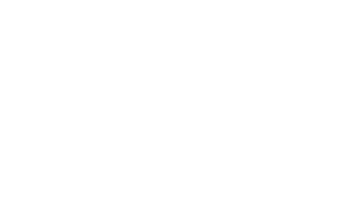 Vilya Spirits