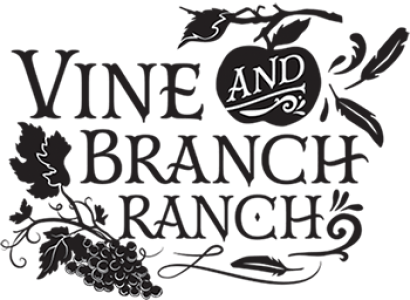 Vine and Branch Ranch