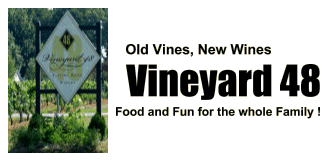 Vineyard 48