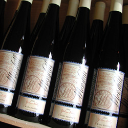 White Riesling