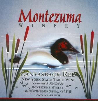 Canvasback Red