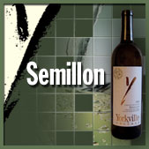 SEMILLON