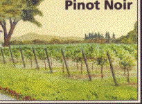 Pinot Noir Willamette Valley