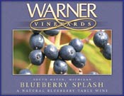 Blueberry Splash Fruit Wine