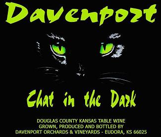 Chat in the Dark